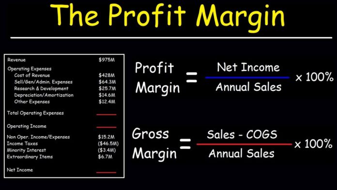 Khái niệm về Profit Margin và các cánh tính chính xác
