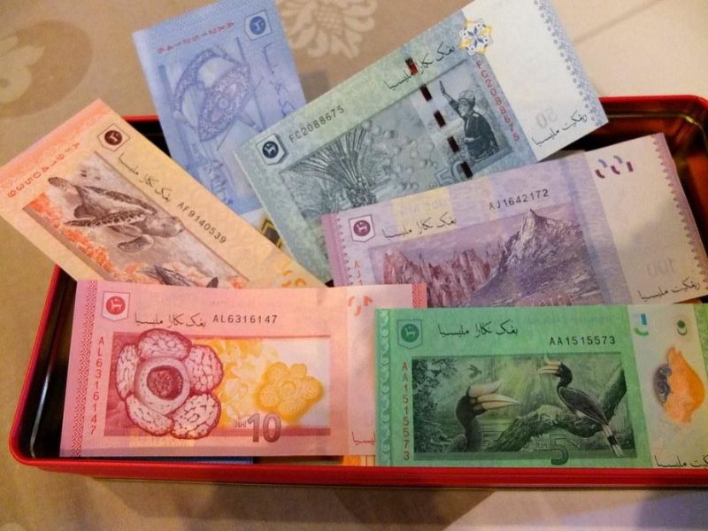 Hiện nay có 2 loại tiền tệ chính của malaysia là tiền xu và tiền giấy