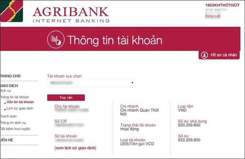 Bản sao kê tài khoản ngân hàng Agribank có những thông tin gì?